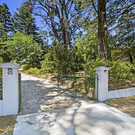 Carcoola Βίλα Blackheath Εξωτερικό φωτογραφία