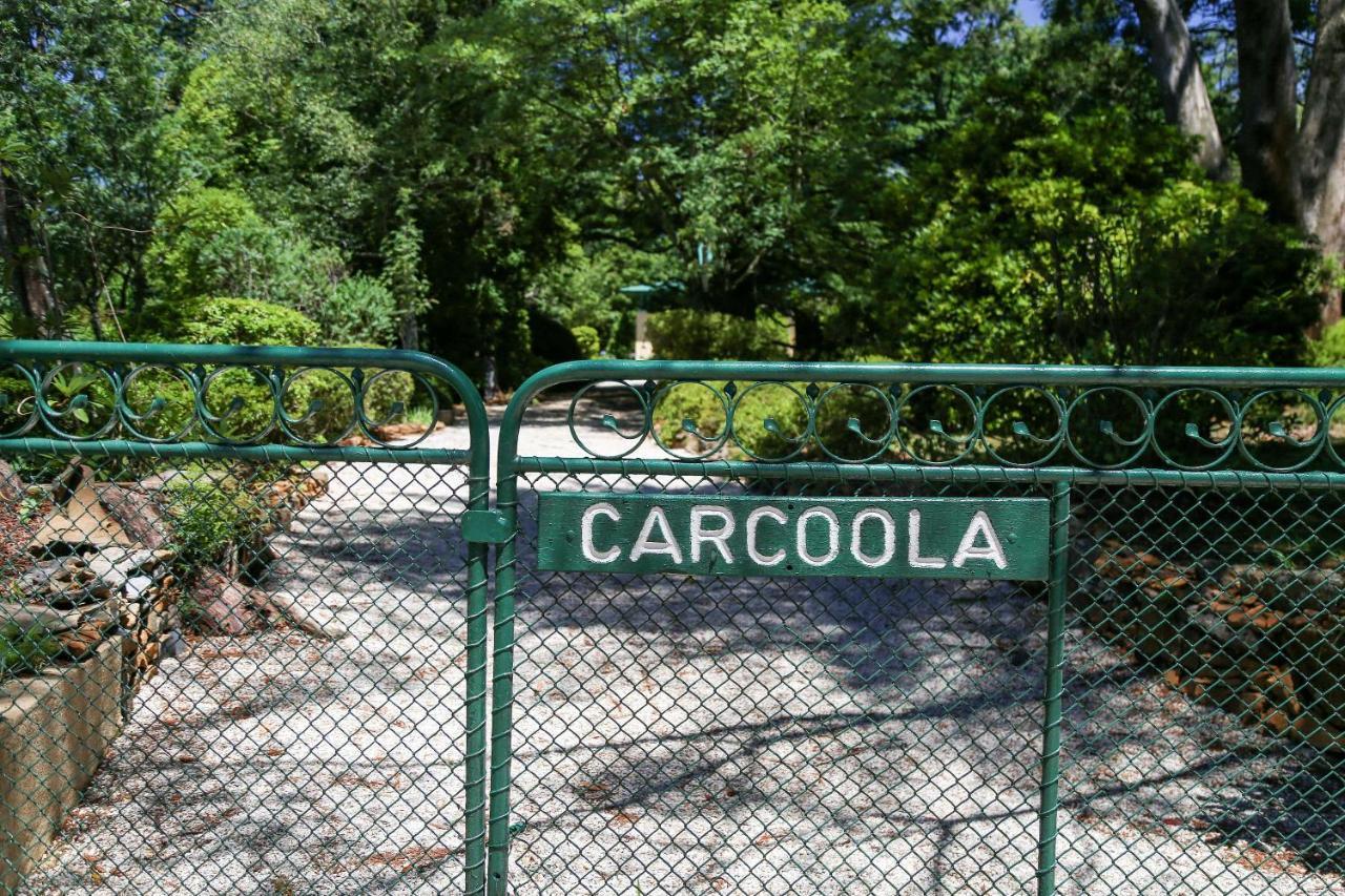 Carcoola Βίλα Blackheath Εξωτερικό φωτογραφία